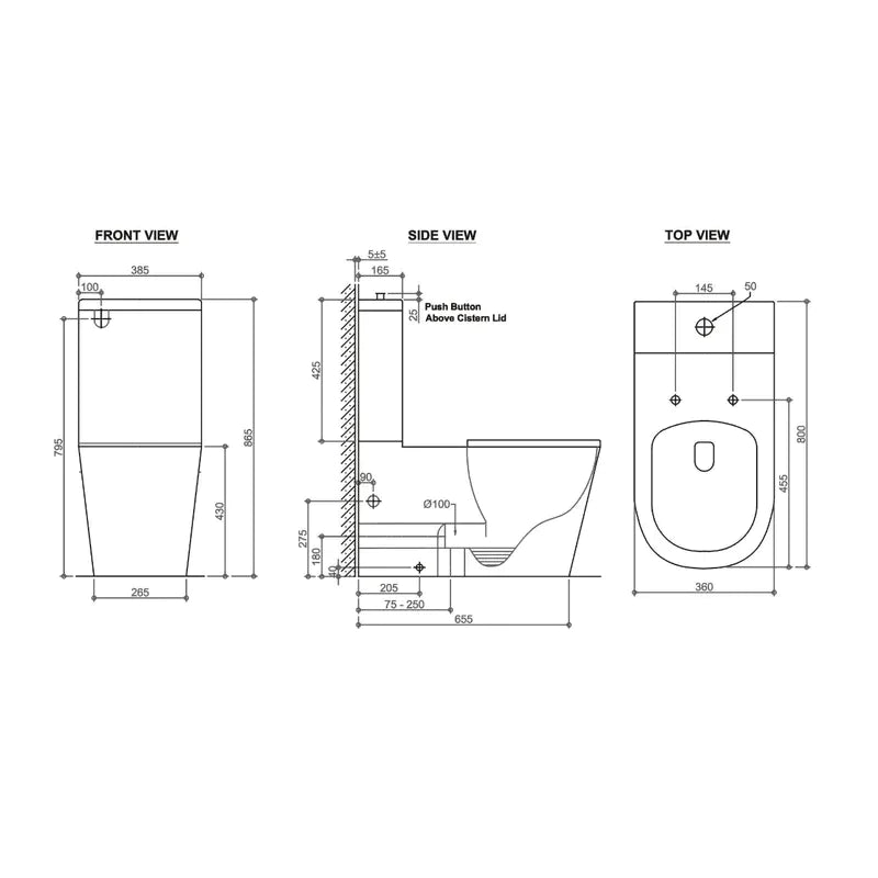 Disabled Compliant Back To Wall Rimless Toilet Suite Wellness Care