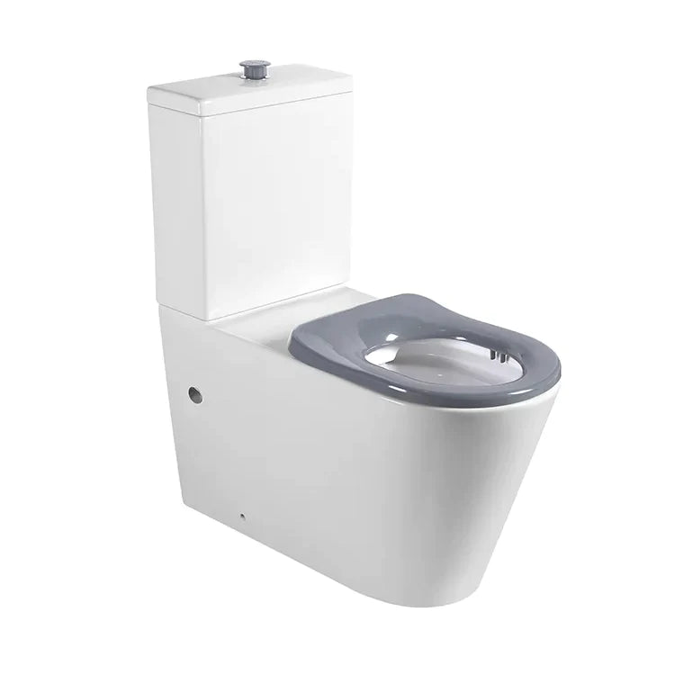 Disabled Compliant Back To Wall Rimless Toilet Suite Wellness Care - Bathroom Hub