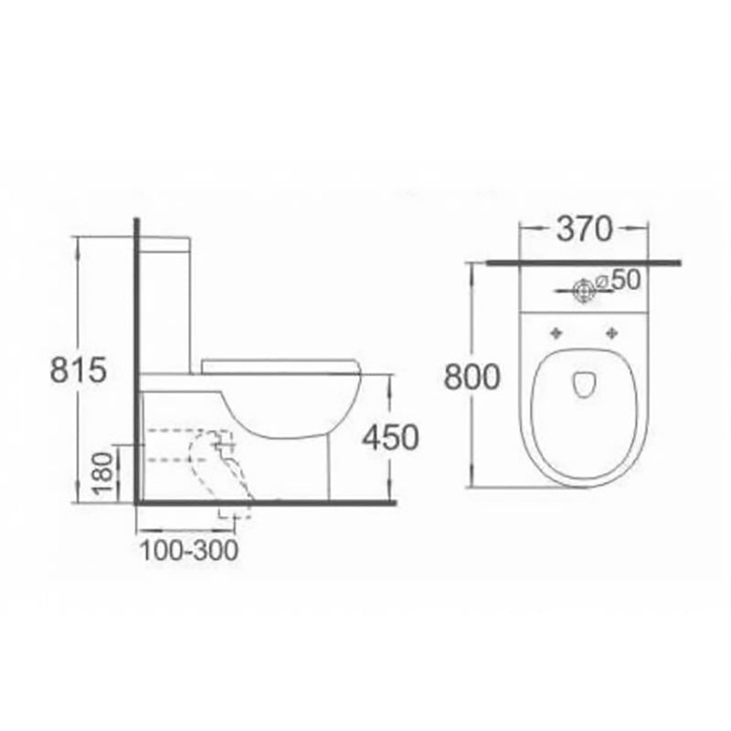 Disabled Compliant Back To Wall Rimless Toilet Suite Classico Care