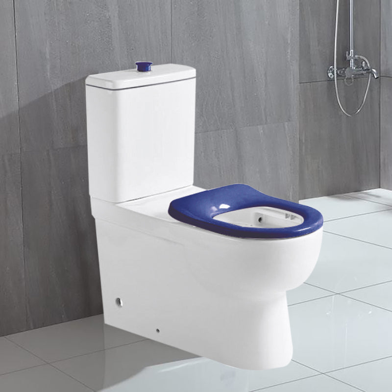 Disabled Compliant Back To Wall Rimless Toilet Suite Classico Care