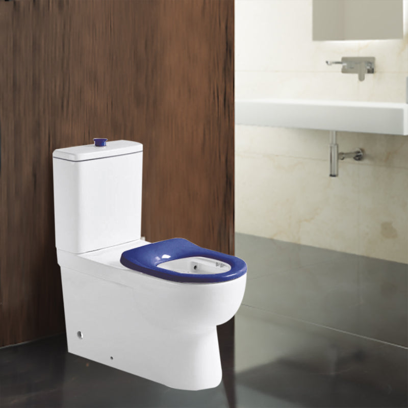 Disabled Compliant Back To Wall Rimless Toilet Suite Classico Care