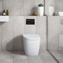 Geberit Sigma 20 Round Button Flush Plate In Sydney