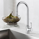 Clasico Pull Out Sink Mixer Ceramic Handle HYB868-103A