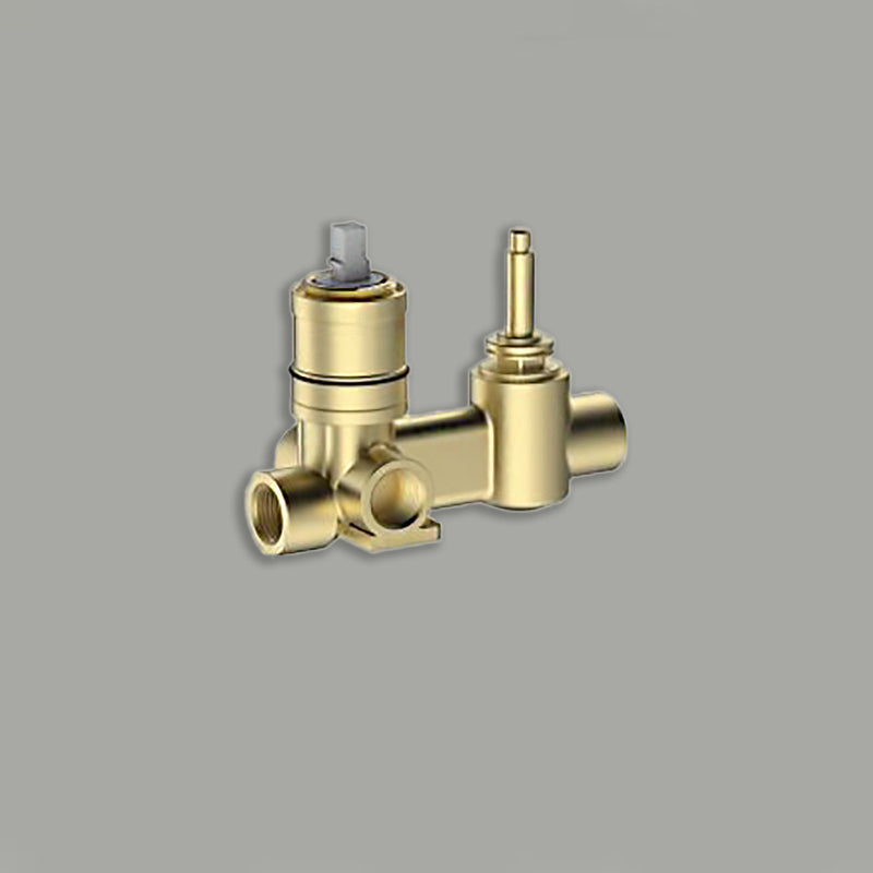 Clasico Wall Diverter Mixer Body HYB868-501BD