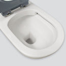 Stella Care Back-to-Wall Toilet Suite, Grey Seat - Bathroom Hub