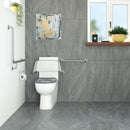 Stella Care Back-to-Wall Toilet Suite, Grey Seat - Bathroom Hub