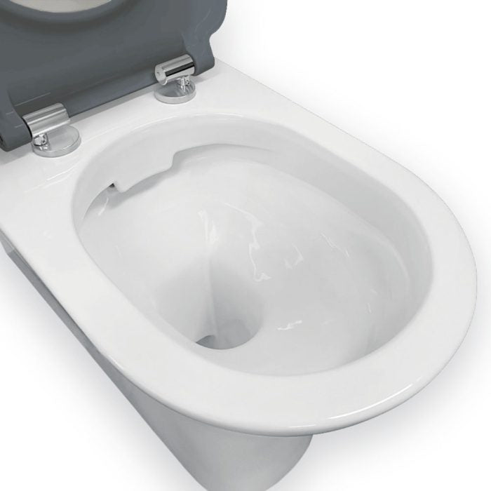 Delta Care Back-to-Wall Toilet Suite, Grey Seat