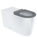 Isabella Care Wall-Faced Toilet Suite, Grey Seat - Bathroom Hub