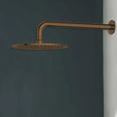 Antique Brass Showerhead on Wall Mounted Arm  LB111+WH52-10- bathroom hub