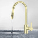 Otus New Pull out Sink Mixer French Gold PC1016LF-FG - Bathroom Hub