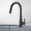 Otus Lux Pull-Out Kitchen And Laundry Sink Mixer Matte Black - PC1017LF-B