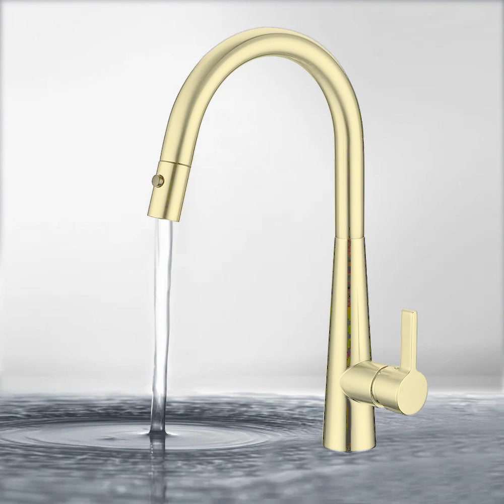 Otus Lux Sink Mixer with Pull Out Spray French Gold PC1017LF-FG - Bathroom Hub