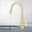 Otus Lux Sink Mixer with Pull Out Spray French Gold PC1017LF-FG - Bathroom Hub