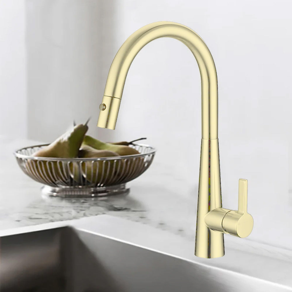 Otus Lux Sink Mixer with Pull Out Spray French Gold PC1017LF-FG - Bathroom Hub