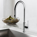 Aziz-II Pull Out Sink Mixer - PCC1003