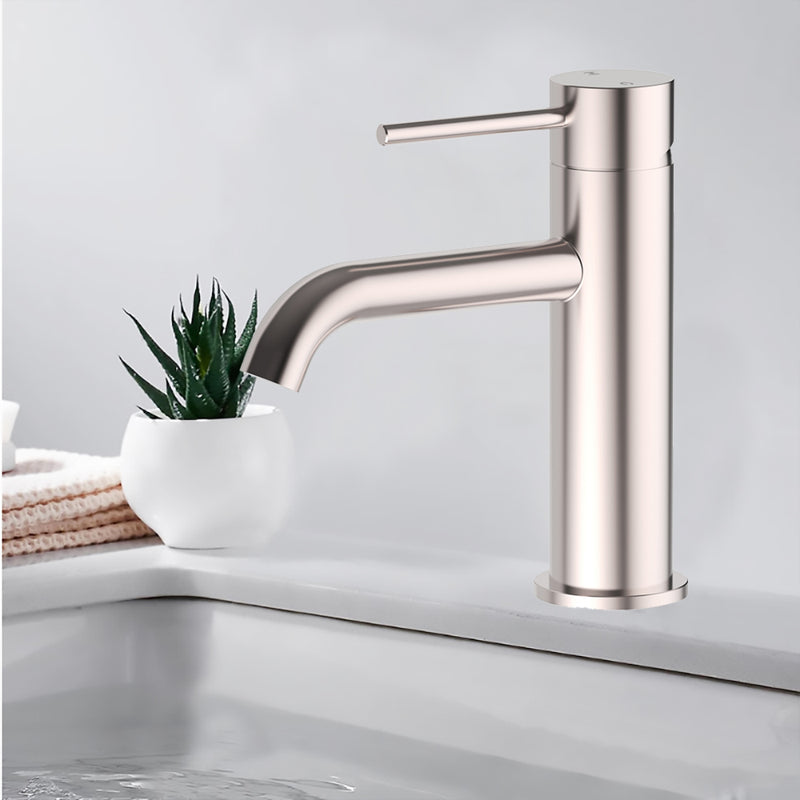 Otus Slimline SS Basin Mixer Curved Spout - PLC2001SS-BN