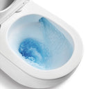 Rimless Tornado Quiet Flush Toilet Suite Matt Grey