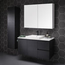 Shaving Cabinet SB750 In Sydney 