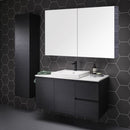 Shaving Cabinet SD900 In Sydney