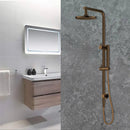 Antique Brass Dual Shower with Diverter WS531F-bathroom-hub-online