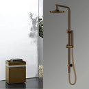 Antique Brass Dual Shower with Diverter WS531F-bathroom-hub-online