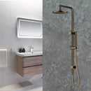 Antique Brass Dual Shower with Diverter WS531F