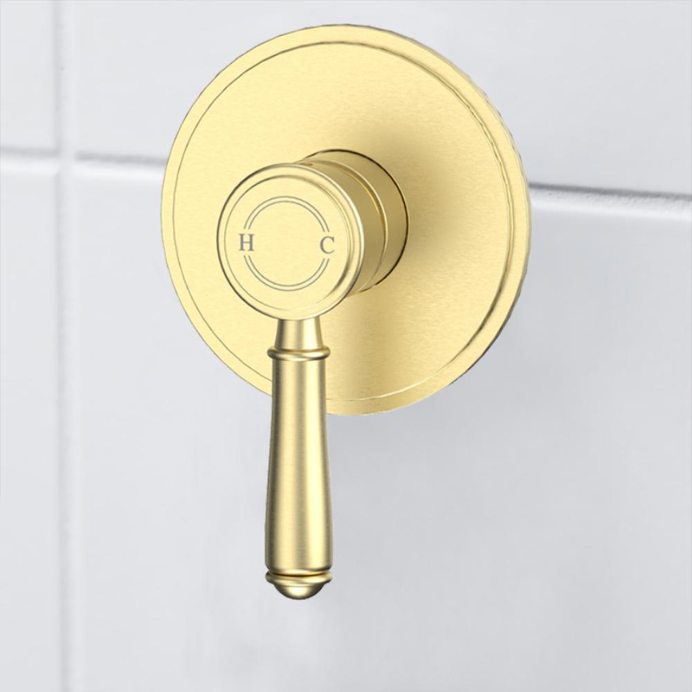 Vintage Wall Mixer Trim Kits in Brushed Gold - HYB868-301TK-BG