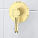 Vintage Wall Mixer Trim Kits in Brushed Gold [HYB868-301TK-BG]
