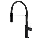 Hali Multi-function Sink Mixer Matt Black HYB88-103MB - Bathroom Hub