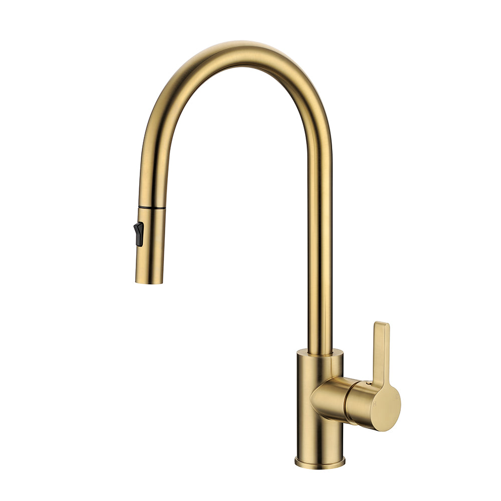 Otus New Pull out Sink Mixer Brushed Gold PC1016LF-BG - Bathroom Hub