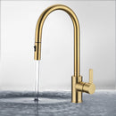 Otus New Pull out Sink Mixer Brushed Gold PC1016LF-BG