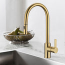 Otus New Pull out Sink Mixer Brushed Gold PC1016LF-BG