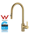 Otus New Pull out Sink Mixer Brushed Gold PC1016LF-BG