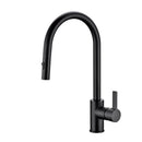 Otus New Pull out Sink Mixer Matt Black PC1016LF-B