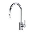 Otus New Pull out Sink Mixer PC1016LF