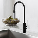 Pull out Sink Mixer PCC1002MB/C In Sydney